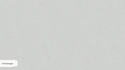 Kolorystyka Champagne oscyluje wokół jasnoszarego beżu, z delikatnymi, jasnymi żyłkami, które tworzą elegancki, marmurowy wzór