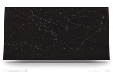 Etesia – głęboka czerń tła została przełamana przez delikatną, białą siatkę subtelnych żyłek.