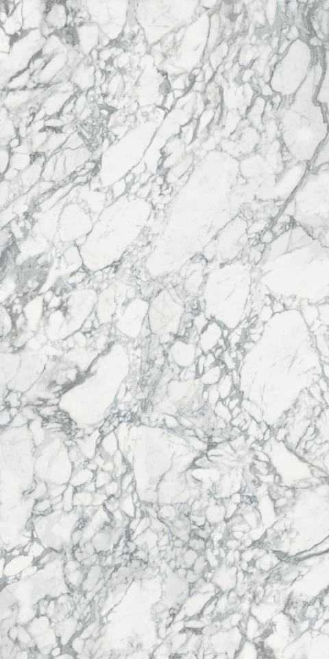 Calacatta Arabescato wyróżnia się śnieżnobiałym tłem, intensywnie poprzecinanym gęstą siecią szaro-grafitowych żył