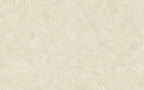 Mimosa  o jasnobeżowym odcieniu, z widocznymi subtelnymi przejściami i delikatnymi wzorami.