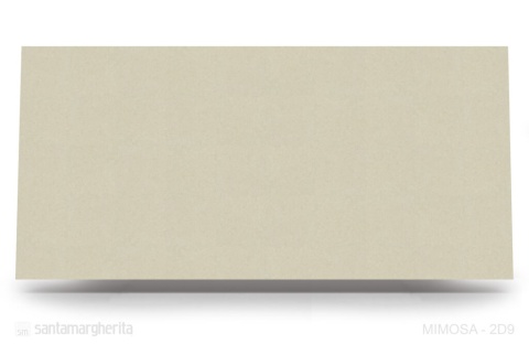 Mimosa  o jasnobeżowym odcieniu, z widocznymi subtelnymi przejściami i delikatnymi wzorami.