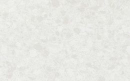 Peonia o jasnoszarej, subtelnej tonacji wzbogaconej o delikatny melanż użyłkowań.