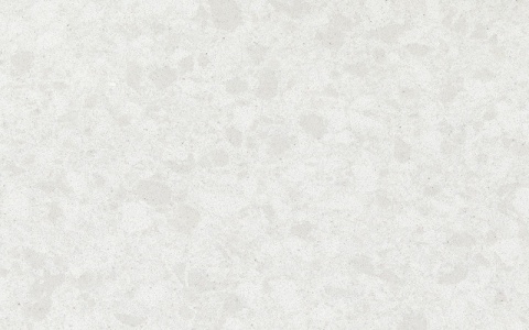 Peonia o jasnoszarej, subtelnej tonacji wzbogaconej o delikatny melanż użyłkowań.