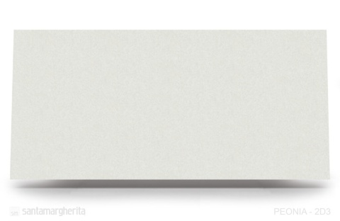 Peonia o jasnoszarej, subtelnej tonacji wzbogaconej o delikatny melanż użyłkowań.