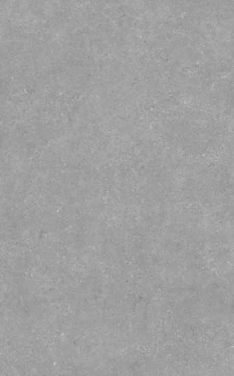 Sandstone Silver to płyta w jasnoszarej, srebrzystej tonacji, która podkreśla elegancję