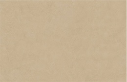 Plaster Sand charakteryzuje się ciepłym beżem inspirowanym naturalnym tynkiem