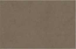 Plaster Ash to ciemny, ziemisty odcień brązu z nutą szarości