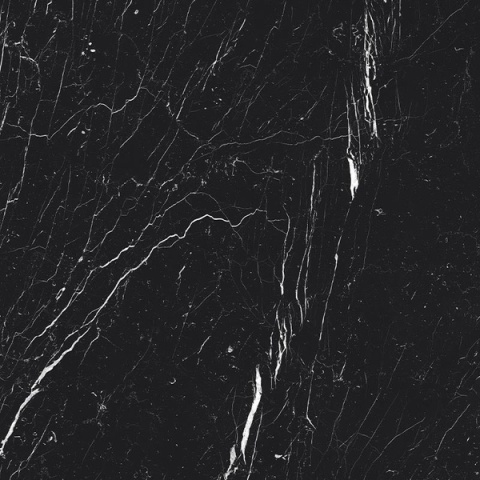 Concerto prezentuje ciemną, stonowaną tonację z subtelnymi akcentami żyłek