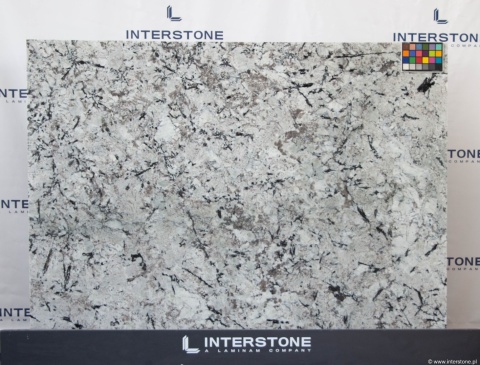 Arctic White – cała płyta – jasna, śnieżnobiała powierzchnia z subtelnymi, chłodnymi żyłkami.