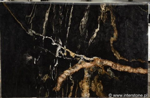 pełna płyta granitu Belatrix w wykończeniu szczotkowanym, z kontrastem ciemnego tła i złocistych żyłek.
