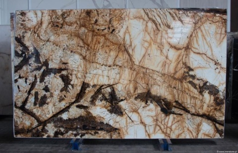 cała płyta Blanc du Blanc w powierzchni polerowanej, z kremowo-białą bazą i widocznymi żyłkami.