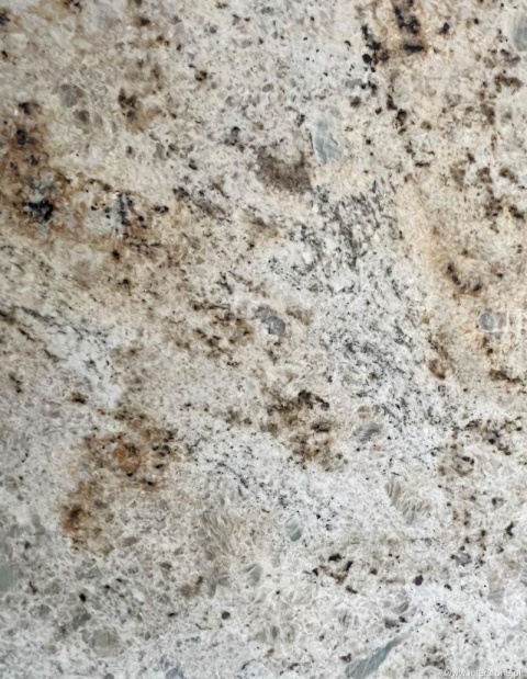 zbliżenie powierzchni, ukazujące delikatne żyłkowanie i subtelne przejścia kolorystyczne.