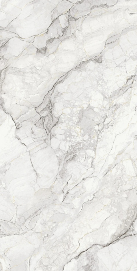 Panel dekoracyjny Camouflage Bookmatch Natural prezentujący efekt lustrzanego odbicia żył