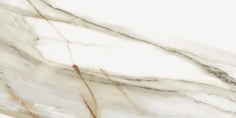 Zbliżenie powierzchni Macchia Vecchia – naturalny rysunek marmuru z subtelnym kontrastem barw