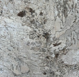 zbliżenie faktury kamienia z widocznym, drobnym ziarnem i naturalnym układem kolorystycznym.