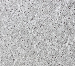 zbliżenie powierzchni kamienia, ukazujące naturalną strukturę i subtelne przejścia kolorystyczne w obrębie płyty.