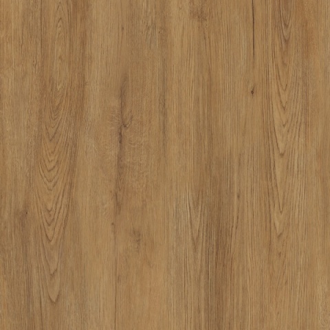 Próbka spieku Jungla Iroko  – realistyczna struktura drewna iroko w ciepłym brązowym tonie.