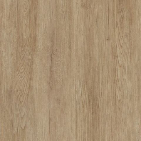 Próbka spieku kwarcowego Jungla Roble o barwie miodowego dębu i delikatnej teksturze drewna.