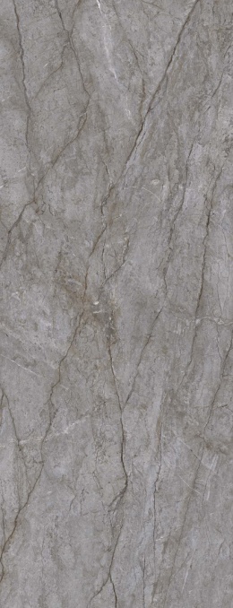 TRI-D VISIONER GREY to szary spiek kwarcowy