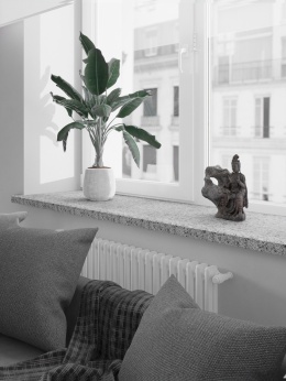 Parapet z granitu Grey FALCO – elegancki szary kamień w aranżacji wnętrza z rośliną i naturalnym światłem