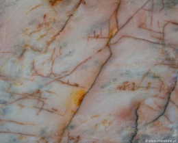 Kwarcyt - Cosmopolitan