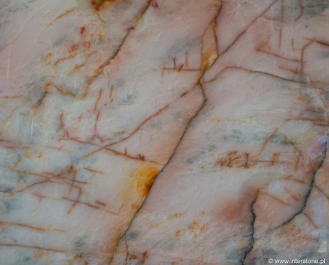 Detal kwarcytu Cosmopolitan z cienkimi złotymi żyłami na tle jasnego, różowo-szarego rysunku