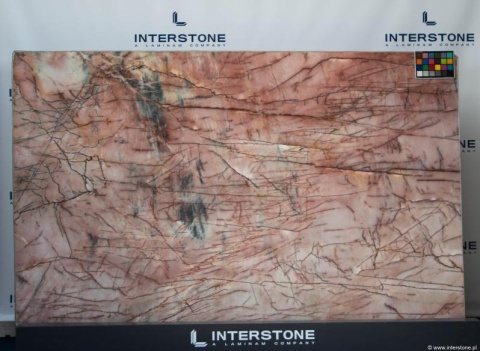 Zbliżenie kwarcytu Cosmopolitan z różową bazą i złotymi oraz ciemnymi żyłami