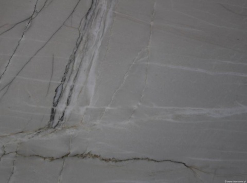 Zbliżenie na strukturę kwarcytu Mont Blanc z delikatnymi szarymi żyłami na jasnym tle.