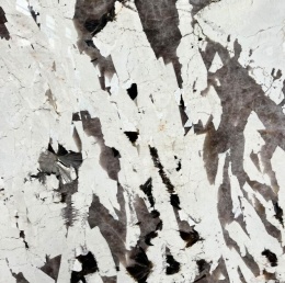 Płyta Patagonia Absolut w świetle dziennym, z wyrazistymi białymi i ciemnymi inkluzjami mineralnymi.