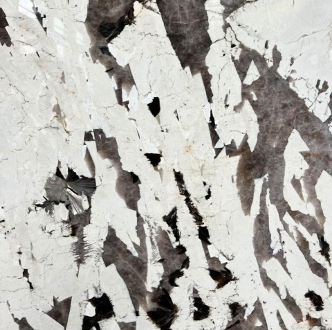 Płyta Patagonia Absolut w świetle dziennym, z wyrazistymi białymi i ciemnymi inkluzjami mineralnymi.