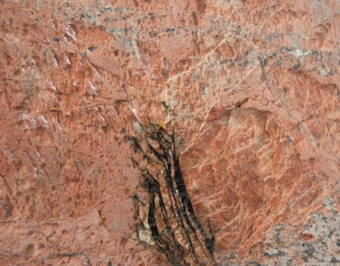 Cała płyta Patagonia Fantastique 30 mm w polerze, z różowo-szarym układem i nieregularną strukturą.