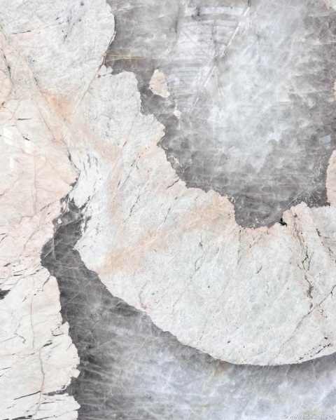 Zbliżenie struktury Patagonia Grey z jasnymi żyłami i szarymi obszarami kwarcu.