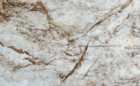 Zbliżenie struktury kwarcytu Sierra z brązowym żyłowaniem