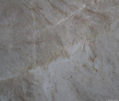 Ujęcie z bliska kwarcytu Taj Mahal brushed z delikatnymi złotymi żyłkami.