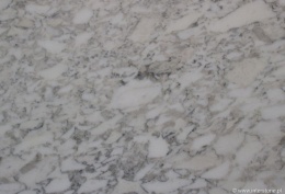 Zbliżenie marmuru Arabescato szlif, gęsty deseń szarych i beżowych żyłek na białym tle.