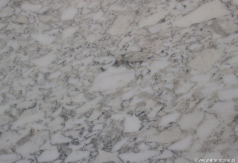 Zbliżenie marmuru Arabescato szlif, gęsty deseń szarych i beżowych żyłek na białym tle.