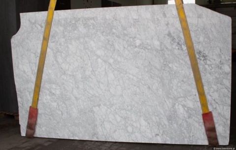 Płyta marmuru Bianco Carrara CD Extra 3 cm, jasnoszara z gęstym użyłkowaniem, widok frontu.