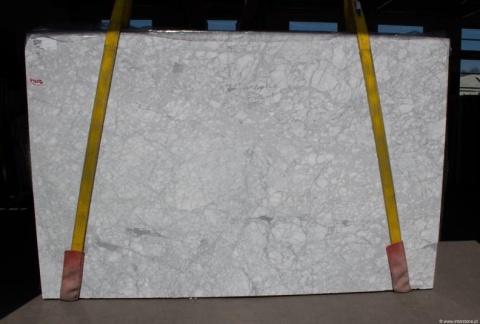 Płyta marmuru Bianco Carrara CD, jasnoszara tafla z gęstą siatką drobnego, szarego użylenia, widok całości.