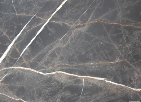 Fragment marmuru Bronze Fantasy szczotka, matowa ciemna powierzchnia z cienkimi białymi i złotymi żyłkami