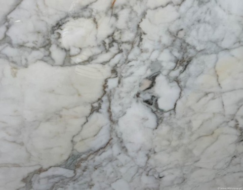 Zbliżenie marmuru Calacatta Gold, gęste szare i złote żyłki na jasnym, polerowanym tle