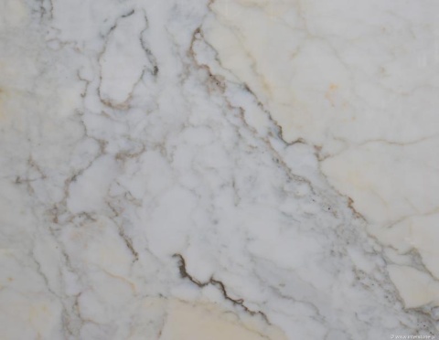 Zbliżenie marmuru Calacatta, biała powierzchnia z gęstym szaro-złotym użyleniem o chmurkowym, nieregularnym rysunku