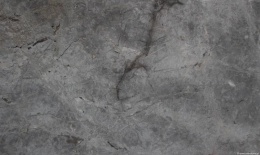 Zbliżenie marmuru Fior di Bosco, szare tło z nieregularnymi żyłkami i subtelnymi, ciemniejszymi akcentami.