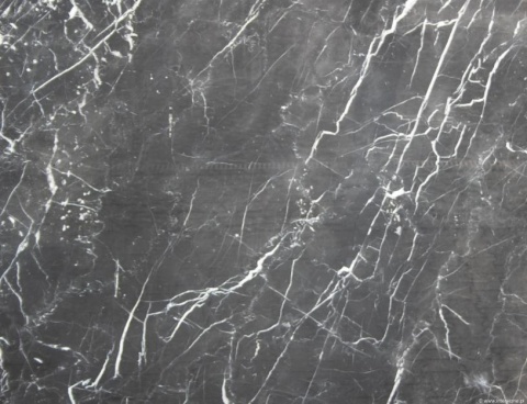 Marmur Nero Marquina szczotka, głębokie grafitowo-czarne tło z gęstą siecią cienkich, białych żyłek.
