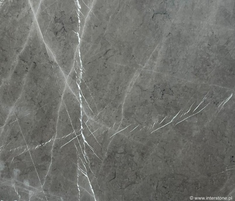Fragment marmuru Pietra Grey, chłodne szarości z wyraźnymi białymi żyłkami o nieregularnym przebiegu.