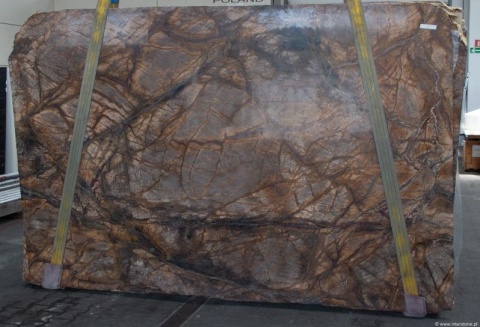 Płyta Rain Forest Brown, bogaty brązowo-złoty deseń z nieregularnymi liniami żył i naturalną teksturą.