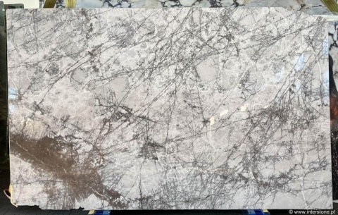 Płyta marmuru Spider White – jasnoszara tafla z gęstą siecią ciemnych, pajęczynowych żył na całej powierzchni.