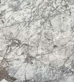 Zbliżenie struktury marmuru Spider White – drobna, jasna tekstura z intensywnymi, ciemnymi żyłkami jak pajęcza sieć.