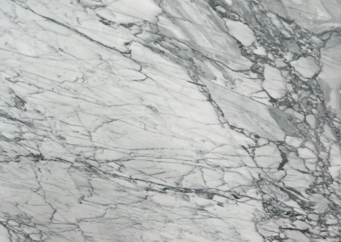 Zbliżenie powierzchni marmuru Statuarietto z gęstą siecią cienkich, szarych żył