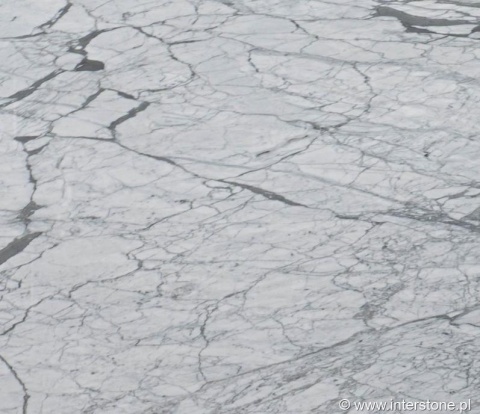 Fragment marmuru Statuario z delikatnym, siatkowym użyleniem na białym tle