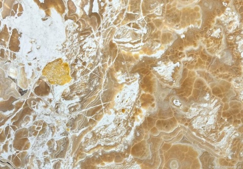Zbliżenie onyksu Amber w jasnych miodowych tonach z białymi żyłkami i złotymi akcentami.